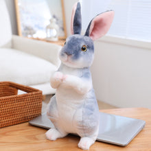 Load image into Gallery viewer, Toy Rabbit for Kids Realistic Soft Bunny Doll Comfort Sleep Ideal Todd