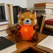 Load image into Gallery viewer, Specollect 1 Pcs Raccoon Stuffed Animal with Soothing Music, Cuddly Pl