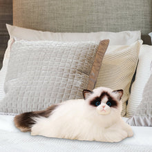 Load image into Gallery viewer, STROLA Realistic Lifelike Plush Cat Stuffed Animal – Soft Faux Fur K