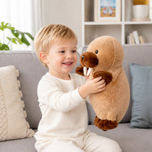 Load image into Gallery viewer, Cute Walrus Plush Toy, Soft Stuffed Animal Pillow for Kids, Adorable H