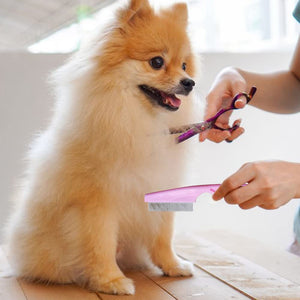 Multifunctional Pet Grooming Comb - 2023 New 2 in 1 Dual-Sided Comb for Tear Stain Removal, Massage and Grooming Small Dogs and Puppies (White)