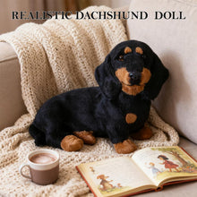 Load image into Gallery viewer, Dachshund Dog Plush Stuffed Animal Sausage Dog Soft Plush for Girls Bi
