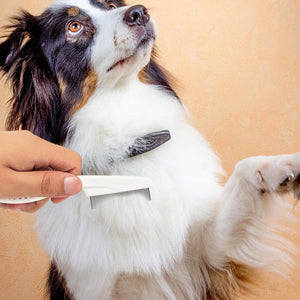 Multifunctional Pet Grooming Comb - 2023 New 2 in 1 Dual-Sided Comb for Tear Stain Removal, Massage and Grooming Small Dogs and Puppies (White)