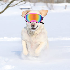 Large Dog Sunglasses Dog Goggles Pet Glasses Pet Eyewear with Adjustable Strap,Glasses for Medium Large Dog Swimming Skating Glasses UV Proof Windproof Dustproof