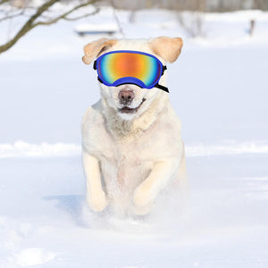 Large Dog Sunglasses Dog Goggles Pet Glasses Pet Eyewear with Adjustable Strap,Glasses for Medium Large Dog Swimming Skating Glasses UV Proof Windproof Dustproof