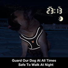Load image into Gallery viewer, Adjustable Dog Harness Vest and Leash Set for Small, Medium Dogs No Pull, Step in Escape Proof Reflective Easy Walk Puppy Harness, Black, S (Comes with A Measuring Tape)