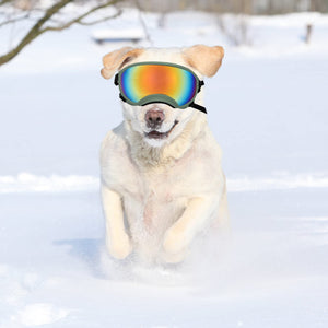 Large Dog Sunglasses Dog Goggles Pet Glasses Pet Eyewear with Adjustable Strap,Glasses for Medium Large Dog Swimming Skating Glasses UV Proof Windproof Dustproof
