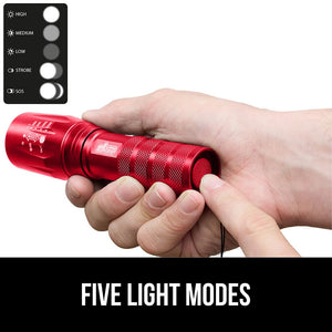 Powerful LED Tactical Flashlight, 750 FT High Lumens 5 Adjustable Modes, Water Resistant, Ultra Bright Zoom Flashlights, Small Mini Flash Light, Camping, Night Dog Walking, Turquoise