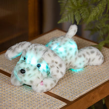 Load image into Gallery viewer, Glowing Light Up Cuddly Dog Toy Soothing With Soft LED Night Comfort
