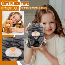Load image into Gallery viewer, Breathing Plush Toy, Glowing Stuffed Animal (Black) - With Soothing Sl