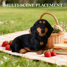 Load image into Gallery viewer, Dachshund Dog Plush Stuffed Animal Sausage Dog Soft Plush for Girls Bi