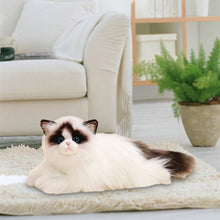 Load image into Gallery viewer, STROLA Realistic Lifelike Plush Cat Stuffed Animal – Soft Faux Fur K