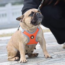 Load image into Gallery viewer, Adjustable Dog Harness Vest and Leash Set for Small, Medium Dogs No Pull, Step in Escape Proof Reflective Easy Walk Puppy Harness, Black, S (Comes with A Measuring Tape)