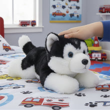 Load image into Gallery viewer, Hugs and Cuddles Rescue Center 10" Husky Plush, Ultra-Soft Stuffed Dog
