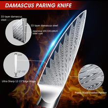 Load image into Gallery viewer, Fillet Knife 7 Inch, Damascus Steel Boning Knife, Professional Fish Fillet Knife for Meat Chicken Cutting, Meat Knife with G10 Ergonomic Handle