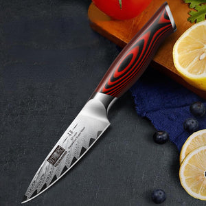 Fillet Knife 7 Inch, Damascus Steel Boning Knife, Professional Fish Fillet Knife for Meat Chicken Cutting, Meat Knife with G10 Ergonomic Handle