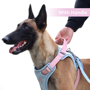 Leather Dog Harness for Medium, Large Size Dogs No Pull, Adjustable Dog Vest with Handle and Two Leash-Attachment Points, Easy to Clean, Blue L