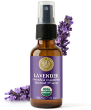 Load image into Gallery viewer, Silk Road Organic Lavender Essential Oil Roll On for Stress Relief, Sleep, Calm &amp; Relaxation | USDA Certified Aromatherapy Roller (10 ml)