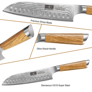 Damascus Kitchen Knife Set 3-Piece, Ultra Sharp 8" Chef Knife, 7" Santoku Knife, 3.75" Paring Knife, Professional VG-10 Damascus Super Steel Chef Knife Set with Ergonomic Handle