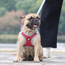 Load image into Gallery viewer, Adjustable Dog Harness Vest and Leash Set for Small, Medium Dogs No Pull, Step in Escape Proof Reflective Easy Walk Puppy Harness, Black, S (Comes with A Measuring Tape)