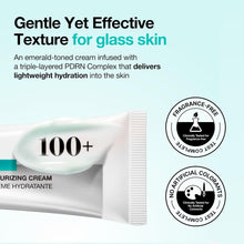 Load image into Gallery viewer, ANUA PDRN Hyaluronic Acid 100 Moisturizing Cream, Lightweight Hydrating Moisturizer with Salmon PDRN, Hyaluronic acid, Collagen for Glass Skin, Korean Skin Care (60ml / 2.02 fl. oz)