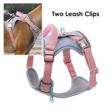 Load image into Gallery viewer, Leather Dog Harness for Medium, Large Size Dogs No Pull, Adjustable Dog Vest with Handle and Two Leash-Attachment Points, Easy to Clean, Blue L