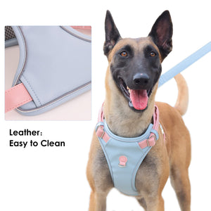 Leather Dog Harness for Medium, Large Size Dogs No Pull, Adjustable Dog Vest with Handle and Two Leash-Attachment Points, Easy to Clean, Blue L