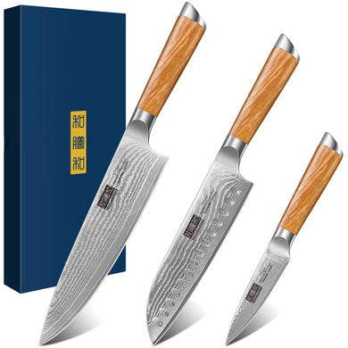 Damascus Kitchen Knife Set 3-Piece, Ultra Sharp 8