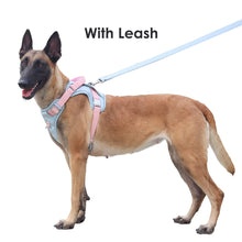Load image into Gallery viewer, Leather Dog Harness for Medium, Large Size Dogs No Pull, Adjustable Dog Vest with Handle and Two Leash-Attachment Points, Easy to Clean, Blue L