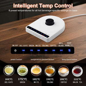Ultrathin Food Grade Silicone Travel Foldable Electric Kettle Variable Temperature Control with Dual Voltage, Auto Shutoff & Boil Dry Protection & Keep Warm, 555ML 110-220V US Plug (Black)