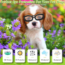 Load image into Gallery viewer, UV Protection Sunglasses for Small Breed Dogs, Windproof Anti-Fog Eye Protection Goggles, Pet Glasses for Puppy With Adjustable Strap (Black)