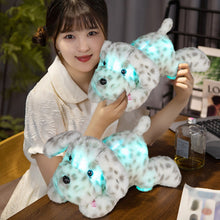 Load image into Gallery viewer, Glowing Light Up Cuddly Dog Toy Soothing With Soft LED Night Comfort