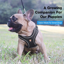 Load image into Gallery viewer, Adjustable Dog Harness Vest and Leash Set for Small, Medium Dogs No Pull, Step in Escape Proof Reflective Easy Walk Puppy Harness, Black, S (Comes with A Measuring Tape)