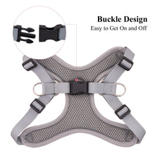 Load image into Gallery viewer, Adjustable Dog Harness Vest and Leash Set for Small, Medium Dogs No Pull, Step in Escape Proof Reflective Easy Walk Puppy Harness, Black, S (Comes with A Measuring Tape)