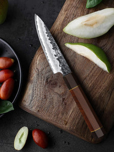 9 Inch Kiritsuke Chef Knife, Japanese Hand Forged 9 Layers 10Cr15CoMoV High Carbon Steel Kitchen Knife, Professional Chef's Knife with Ergonomic Rosewood Handle