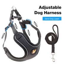 Load image into Gallery viewer, Adjustable Dog Harness Vest and Leash Set for Small, Medium Dogs No Pull, Step in Escape Proof Reflective Easy Walk Puppy Harness, Black, S (Comes with A Measuring Tape)