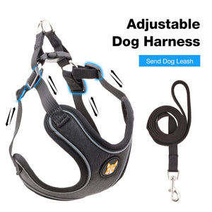 Adjustable Dog Harness Vest and Leash Set for Small, Medium Dogs No Pull, Step in Escape Proof Reflective Easy Walk Puppy Harness, Black, S (Comes with A Measuring Tape)