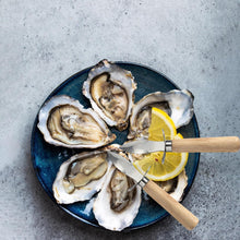 Load image into Gallery viewer, YellRin Oyster Knife Stainless Steel Oyster Shucking Knife Set of 4 for Seafood Tools