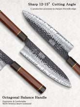 Load image into Gallery viewer, 9 Inch Kiritsuke Chef Knife, Japanese Hand Forged 9 Layers 10Cr15CoMoV High Carbon Steel Kitchen Knife, Professional Chef&#39;s Knife with Ergonomic Rosewood Handle