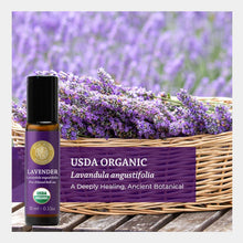 Load image into Gallery viewer, Silk Road Organic Lavender Essential Oil Roll On for Stress Relief, Sleep, Calm &amp; Relaxation | USDA Certified Aromatherapy Roller (10 ml)