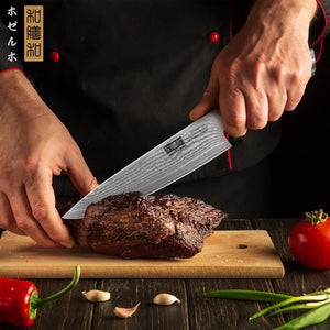 Damascus Chef Knife 8 Inch, Professional 67 Layers VG-10 Super Steel Kitchen Knife, Ultra Sharp Japanese Knife with Durable Ergonomic Olive Wood Handle