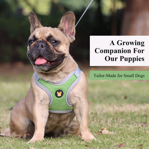 Adjustable Dog Harness Vest and Leash Set for Small, Medium Dogs No Pull, Step in Escape Proof Reflective Easy Walk Puppy Harness, Black, S (Comes with A Measuring Tape)