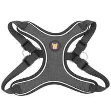 Load image into Gallery viewer, Adjustable Dog Harness Vest and Leash Set for Small, Medium Dogs No Pull, Step in Escape Proof Reflective Easy Walk Puppy Harness, Black, S (Comes with A Measuring Tape)