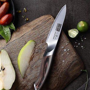 3.75 inch Paring Knife, Japanese High Carbon Stainless Steel Small Kitchen Knives, Ultra Sharp Fruit Knife with Ergonomic Pakkawood Handle