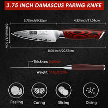 Load image into Gallery viewer, Fillet Knife 7 Inch, Damascus Steel Boning Knife, Professional Fish Fillet Knife for Meat Chicken Cutting, Meat Knife with G10 Ergonomic Handle