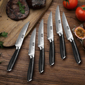 Steak Knives Set of 6, 4.5 Inch Japanese Serrated Steak Knife Set, Ultra Sharp High Carbon Powder Steel Steak Knife with Pakkawood Handle