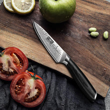 Load image into Gallery viewer, Paring Knife 3.75 Inch, High Carbon Powder Steel Forged Small Kitchen Knives, Razor Sharp Japanese Fruit Knife with Ergonomic Pakkawood Handle