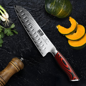 Damascus Santoku Knife, 7 Inch Professiona Kitchen Knife, Damascus Super Steel Ultra-Sharp Santoku Chef Knife with Ergonomic G10 Handle