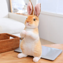 Load image into Gallery viewer, Toy Rabbit for Kids Realistic Soft Bunny Doll Comfort Sleep Ideal Todd