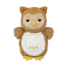Load image into Gallery viewer, Winfun Soothing Sounds Light-Up Owl Plush Toy for Newborns